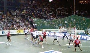 Die SG Flensburg-Handewitt kann in der Ostseehall nicht gewinnen.