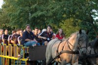 Eine der netten Ideen der Veranstalter: Die Zebras hatten sichtlich Spa� auf der Kutsch-Tour zur Halle!