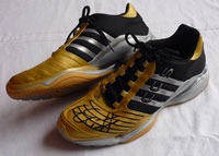 Signierte Handballschuhe von  Dominik Klein suchen einen neuen Besitzer - f�r einen guten Zweck!