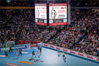 Jedes Bundesligator von Patrick Wiencek lohnt sich in dieser Saison doppelt.