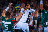 Daniel Narcisse erzielte in seinem letzten Heimspiel noch einmal acht tolle Treffer.