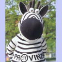 The current autograph card