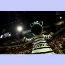 Hein Daddel in action.