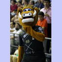 Das Maskottchen von BM Ciudad Real.