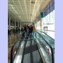 Die Zebrasprotten in Barcelona.