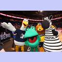 Die vier Maskottchen.