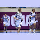 Aron Palmarsson und Momir Ilic.