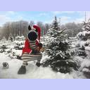 Hein Daddel holt sich einen Weihnachtsbaum.