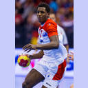 WM 2013: FRA-TUN: Wael Jallouz.