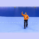 WM 2013: FRA-BRA: Thierry Omeyer.